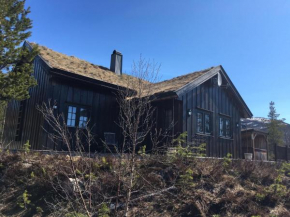 Keybutler Family Cabin Badstogdalen